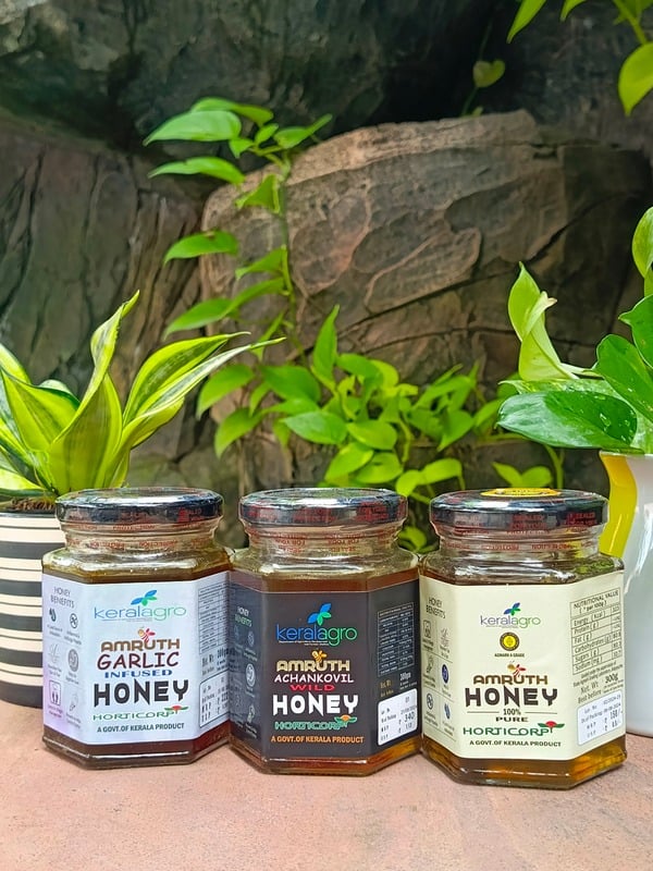 Amruth Honey