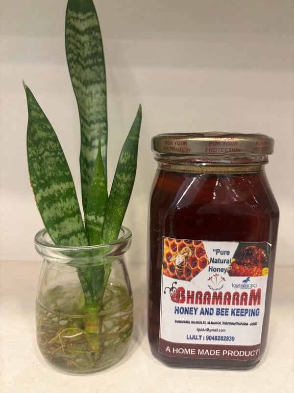 Bhramaram Honey