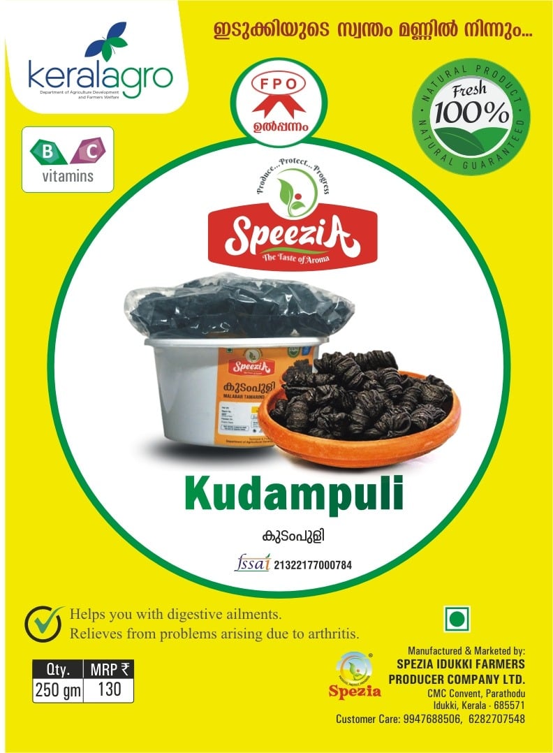 Kudampuli