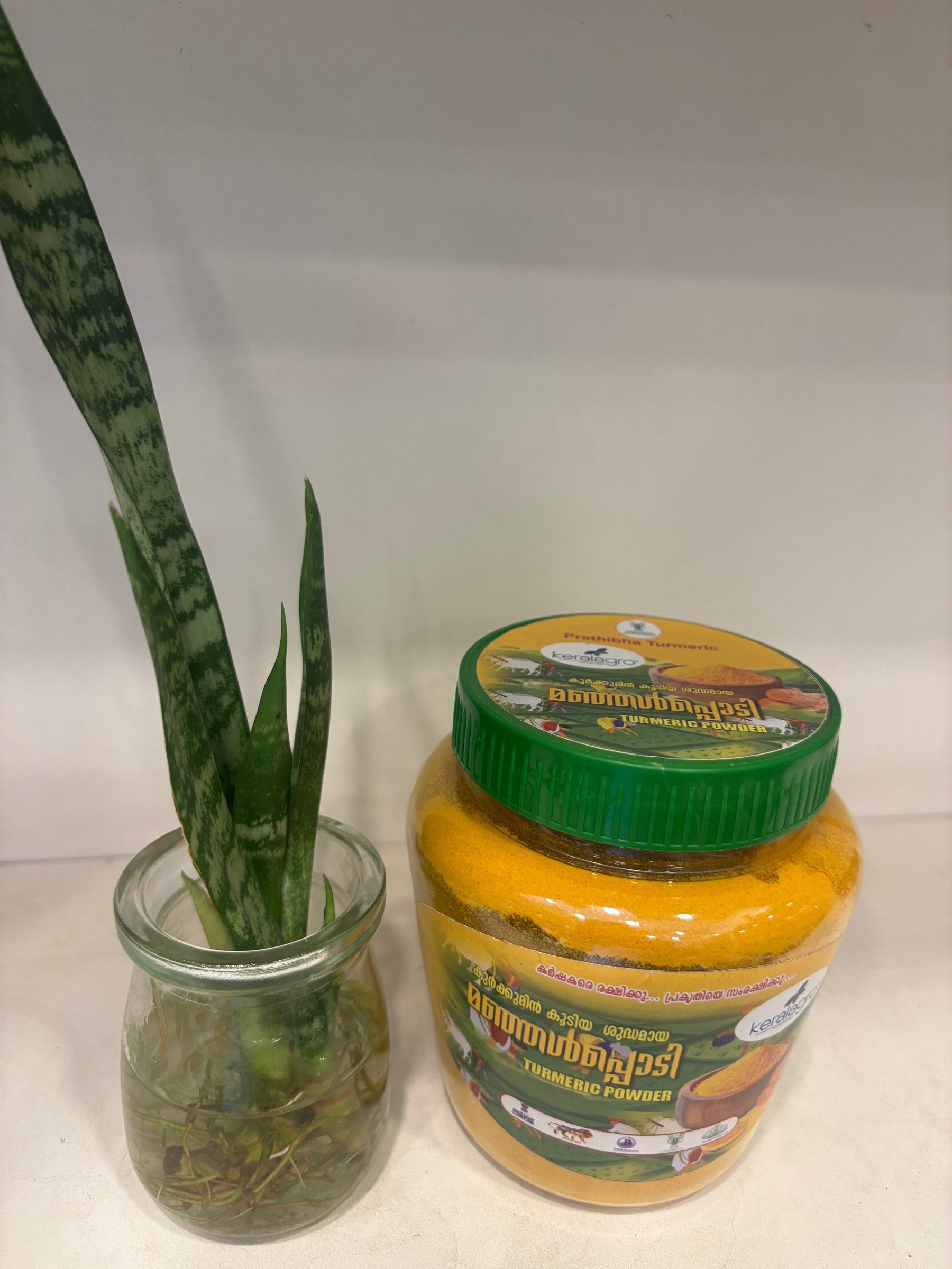 Turmeric Powder