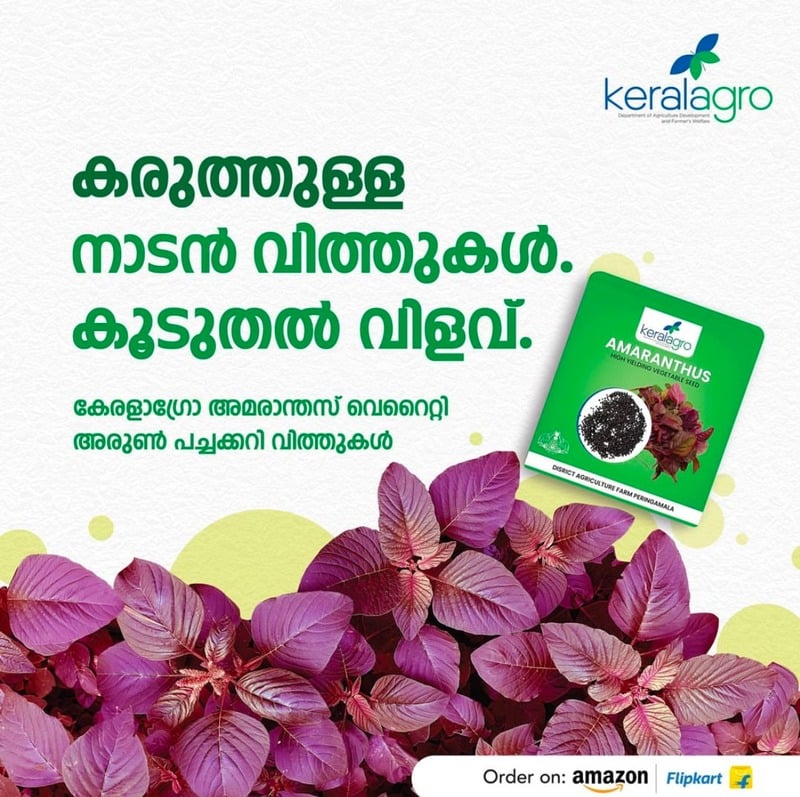 Vegetable Seeds
